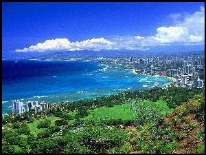 Spokojny, Hawaje, Roślinność, Zielona, Ocean