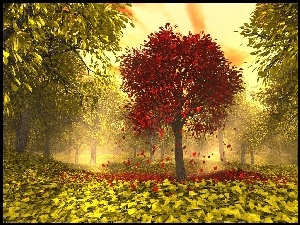 Żółte, Liście, Czerwone, Drzewa