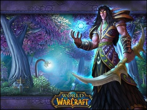 fantasy, World Of Warcraft, elf, mężczyzna, wojownik