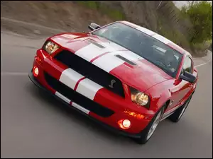 GT500, Ford Mustang, Shelby