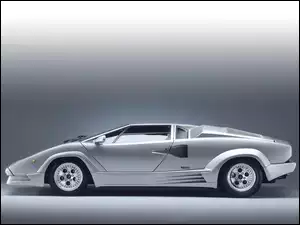 Lamborghini Countach, Lewy, Profil