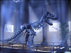 Dinozaura, Wystawa, Szkielet
