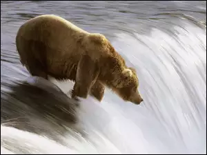 Niedźwiedź, Rzeka