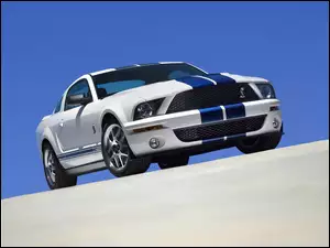 Pakiet, GT500, Shelby, Ford Mustang