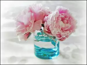 Szklanka, Różowe, Kwiaty