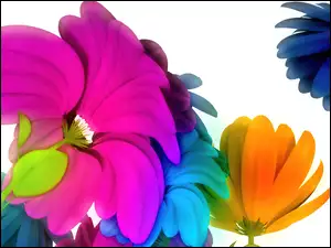 3D, Kolorowe, Kwiaty