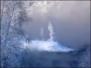 Drzewa, Zima, Śnieg