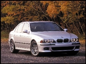 E39, BMW, M5