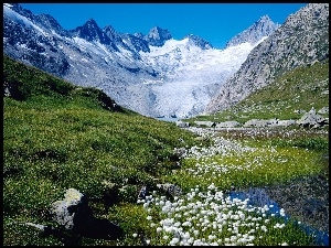 Gór, Kwiaty, Wzgórza, Wiosna, Szczyty, Alpy Szwajcarskie
