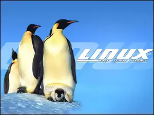 System, Pingwinów, Linux, Rodzinka