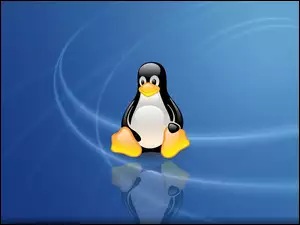 Linux, Pingwin, Niebieskie, Tło
