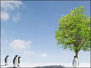 Pingwiny, Drzewo
