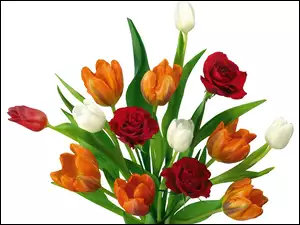 Bukiet, Róż, Kolorowych, Tulipanów