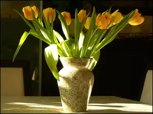 Wazon, Żółte, Tulipany