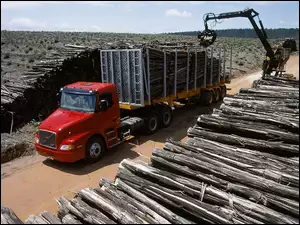 Ciężarówka Volvo, Drewno