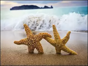 Gwiazdy, Plaża, Morze
