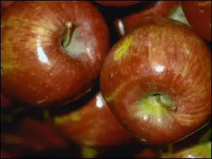 Jabłka, Rumiane, Błyszczące