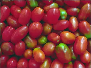 Czerwono, Pomidory, Zielone, Podłużne