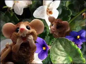 Myszki, Kwiaty