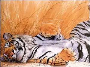 Grafika, Tygrys, Odpoczynek