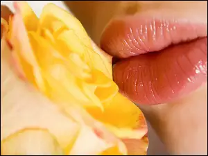 Usta, Róża, Kobiety, Żółta