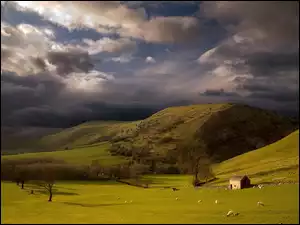 Owce, Wzgórza, Łąka