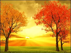 Jesień, Drzewa, Zachód, Słońca