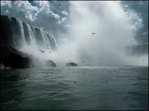 Ptaki, Wodospad, Niagara