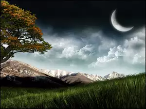Chmury, Księżyc, Drzewo