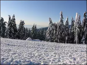 Zima, Kanada, Śnieg, Góry
