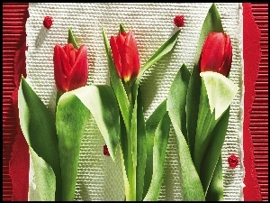Tulipany, Kompozycja, Kwiaty
