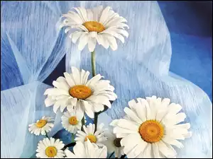 Białe, Tkanina, Niebieska, Kwiaty