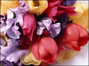 Bukiet, Kolorowe, Kwiaty