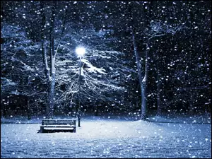 Ławka, Drzewa, Śnieg, Zima