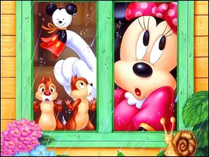 przyjaciele, Myszka Miki, okno