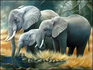 Słonie, Wodopój