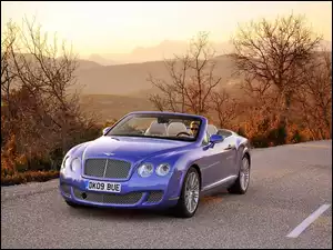 Skóry, Bentley Continental GTC, Jasne