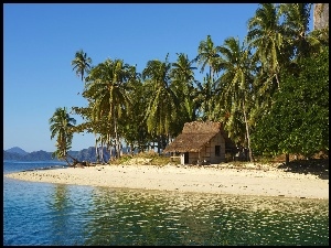 Palmy, Wyspa, Domek