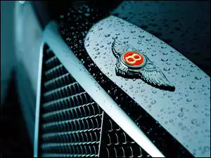 Bentley Arnage, Emblemat