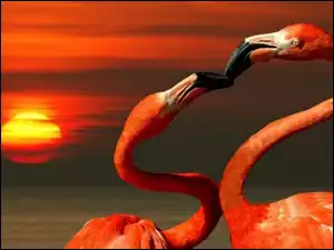 Pocałunek, Dwa, Flamingi
