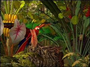 3D, Tropikalna, Dżungla