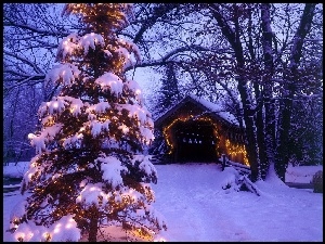 Domek, Boże, Choinka, Narodzenie, Śnieg