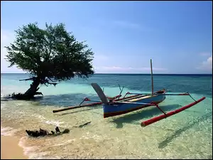 Łódka, Ocean, Drzewo