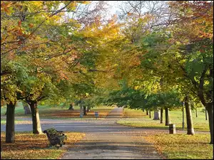 Ławki, Jesień, Kolorowe, Park, Drzewa