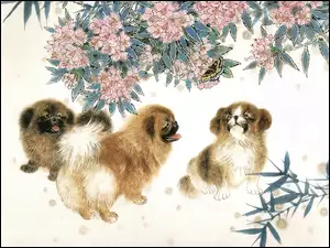 Kwiaty, Trzy, Psy