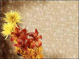Bukiet, Tekstura, Różnych, Kwiatów