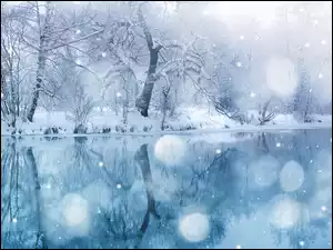 Zima, Woda, Śnieg, Drzewa