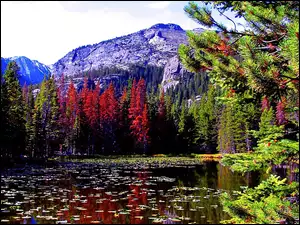 Jezioro, Góry, Jesień