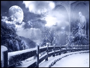 Księżyc, Noc, Zima, Drzewa
