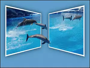 Delfiny, 4D, Ramki, Woda